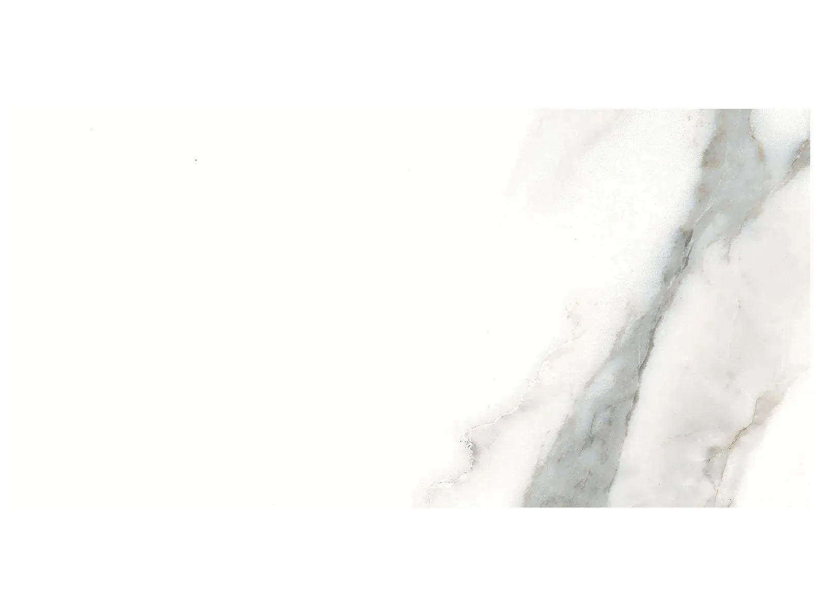 Anatolia Wall Tile Classic Calacatta Glossy 6" x 12" (4500-0175-0) Marble Wall Tile