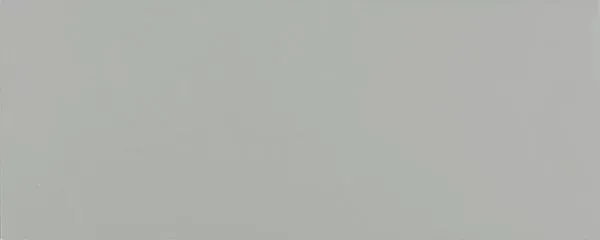 Design Positive Cool Grey 02 Matte 8" x 20" (D2PGR02) Uniform Color Wall Tile