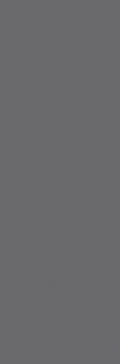 Rak Grey 2-5/16" x 9-13/32" (RAKGRE0209M) Uniform Color Wall Tile