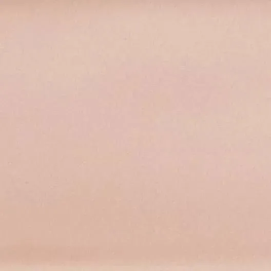 Lanse Rose Matte 2" x 10" (LAN27490) Metal Wall Tile