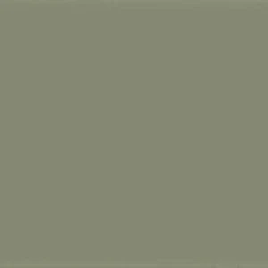  11", AfmBOooTo63D2607Mvw DpBgBXOGbo16FbHY8EFMydfhSz7YIIHZvP8Z Design Positive Lichen 14 Matte 8" x 20" (D2PVR14) Uniform Color Wall Tile 