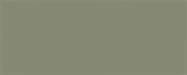 Design Positive Lichen 14 Matte 8" x 20" (D2PVR14) Uniform Color Wall Tile