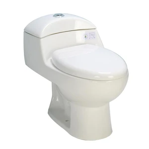  White Ceramic One-Piece Dual-Flush Toilet 