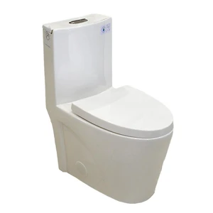  One-Piece Dual-Flush Fully Concealed Toilet in White 