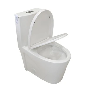Image 2 of One-Piece Dual-Flush Fully Concealed Toilet in White sold at Floors & Baths Pro's