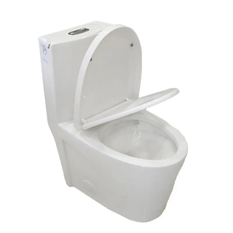 One-Piece Dual-Flush Fully Concealed Toilet in White