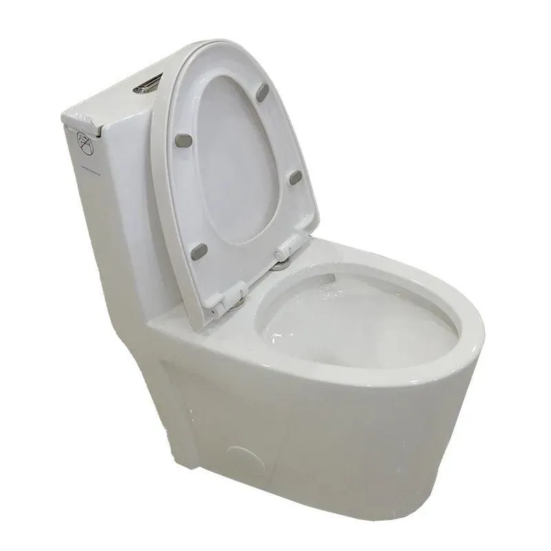 One-Piece Dual-Flush Fully Concealed Toilet in White