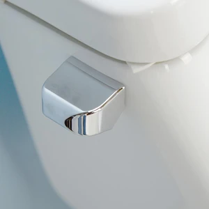 Image 3 of White One-Piece Single-Flush Toilet sold at Floors & Baths Pro's