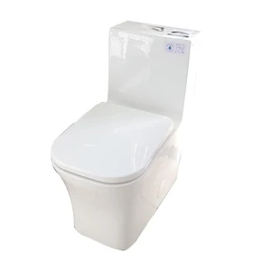  One-Piece Dual-Flush Fully Concealed Toilet 