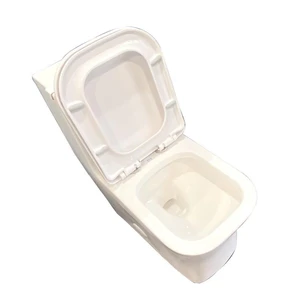 Image 2 of One-Piece Dual-Flush Fully Concealed Toilet sold at Floors & Baths Pro's