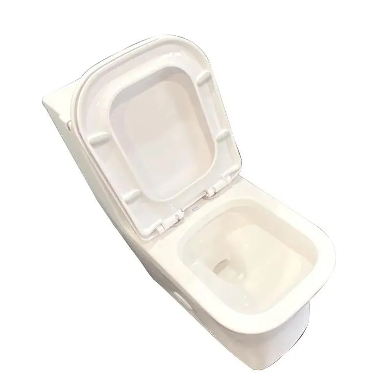 One-Piece Dual-Flush Fully Concealed Toilet