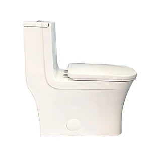 Image 3 of One-Piece Dual-Flush Fully Concealed Toilet sold at Floors & Baths Pro's