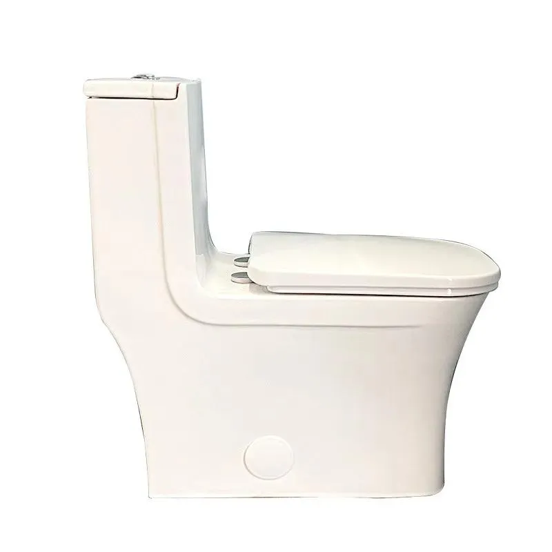 One-Piece Dual-Flush Fully Concealed Toilet