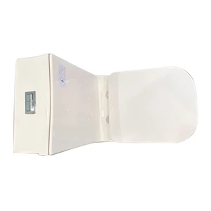 Image 4 of One-Piece Dual-Flush Fully Concealed Toilet sold at Floors & Baths Pro's