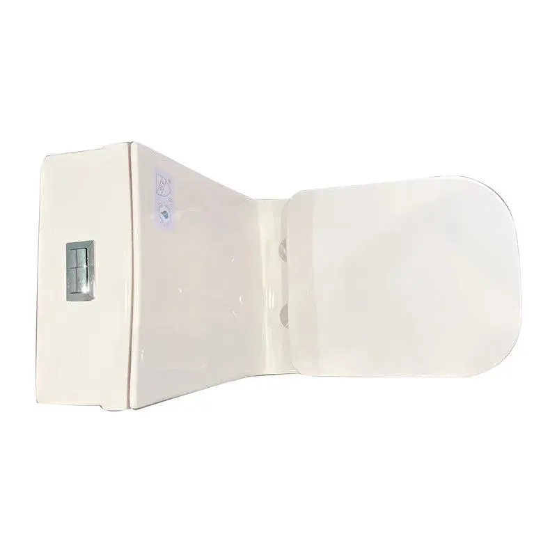 One-Piece Dual-Flush Fully Concealed Toilet