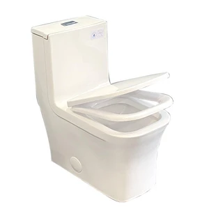 Image 5 of One-Piece Dual-Flush Fully Concealed Toilet sold at Floors & Baths Pro's