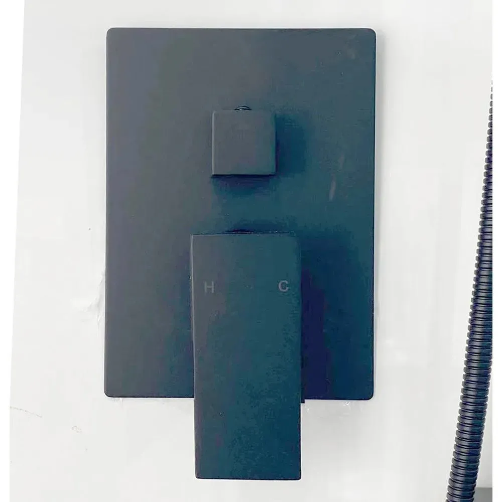 Matte Black Square Rain Showerhead with Rail/Hand Shower