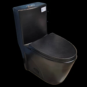  One-Piece Dual-Flush Toilet in Black 