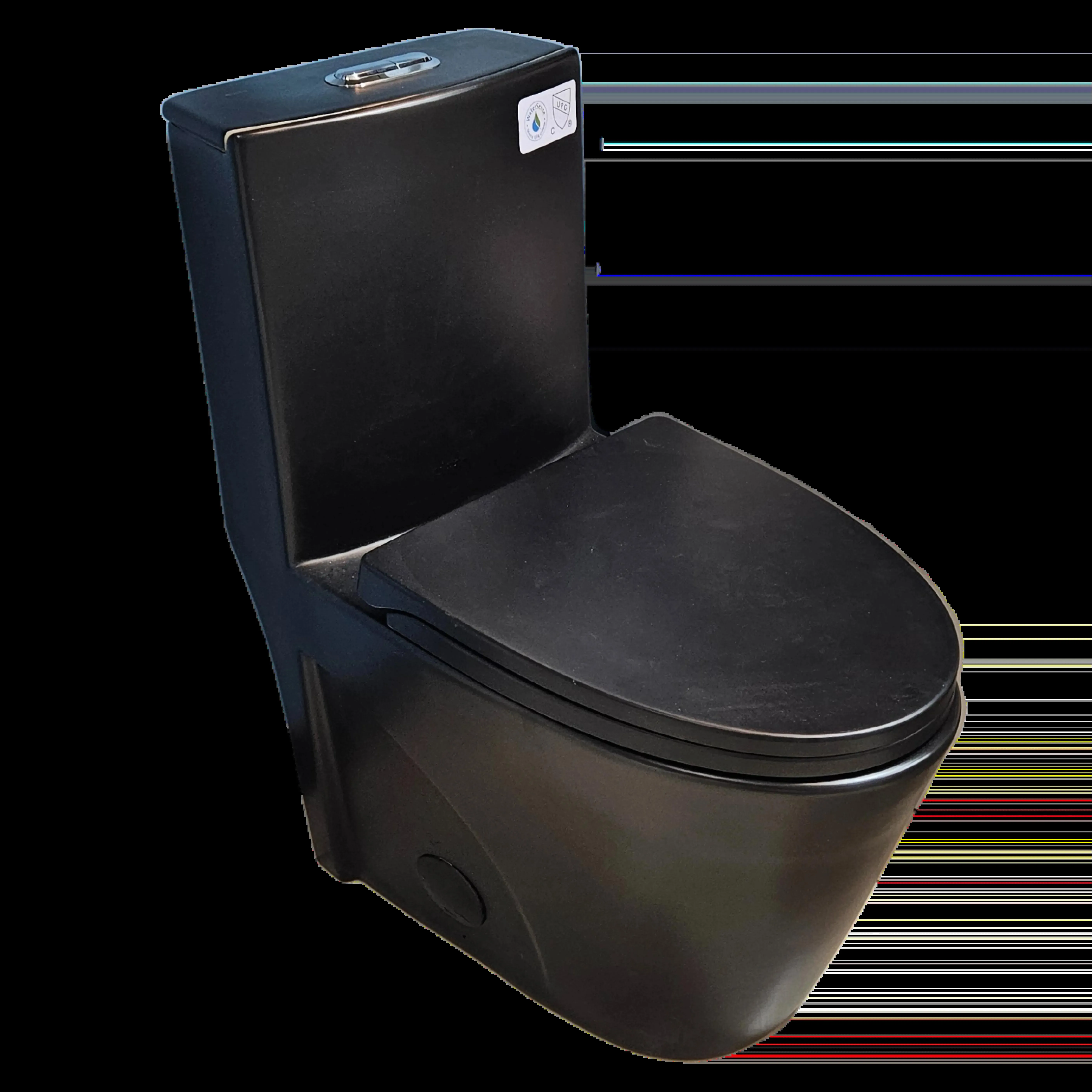 One-Piece Dual-Flush Toilet in Black