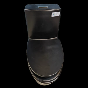 Image 2 of One-Piece Dual-Flush Toilet in Black sold at Floors & Baths Pro's