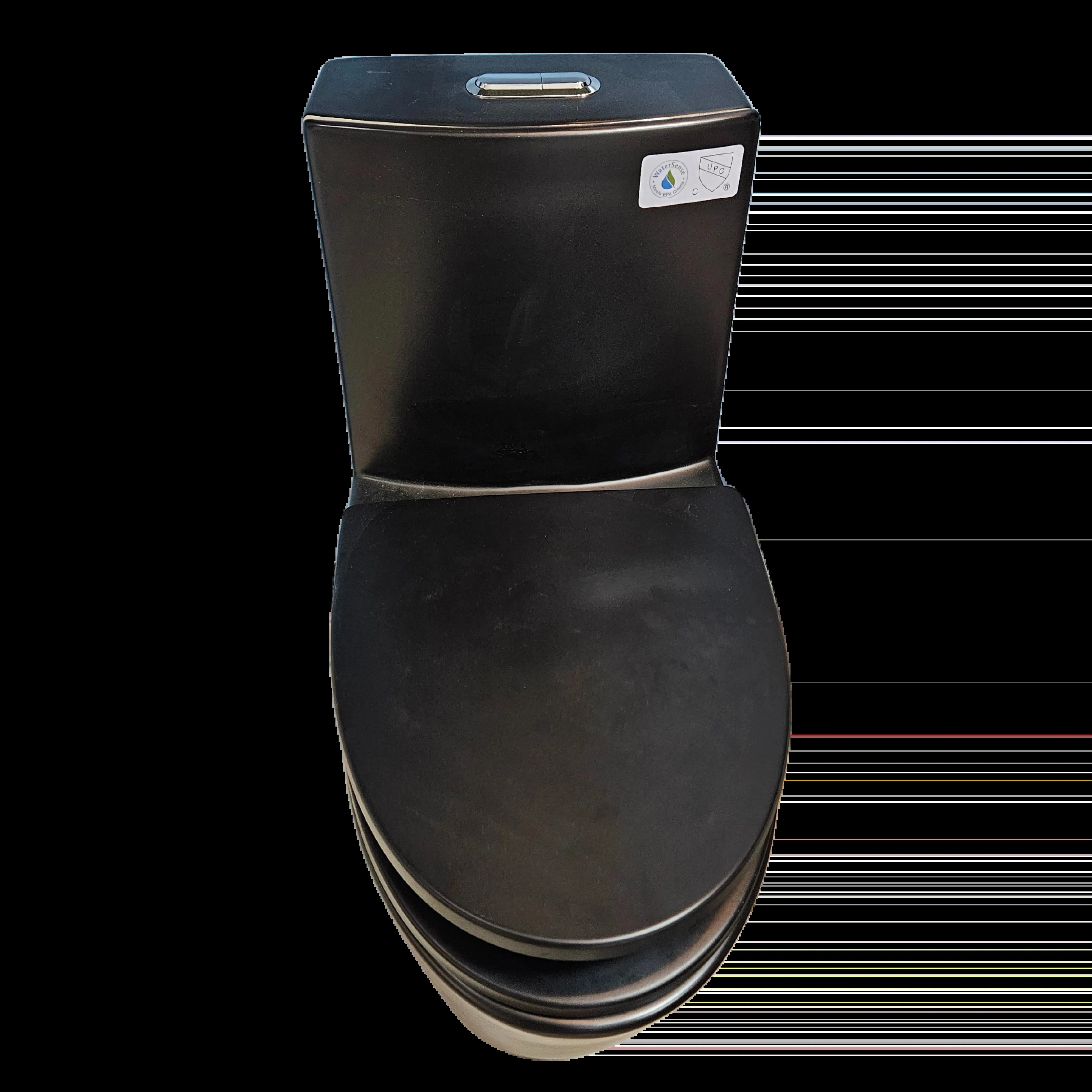One-Piece Dual-Flush Toilet in Black