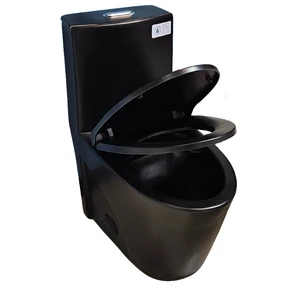 Image 3 of One-Piece Dual-Flush Toilet in Black sold at Floors & Baths Pro's