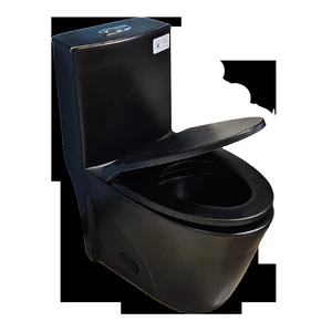 Image 4 of One-Piece Dual-Flush Toilet in Black sold at Floors & Baths Pro's
