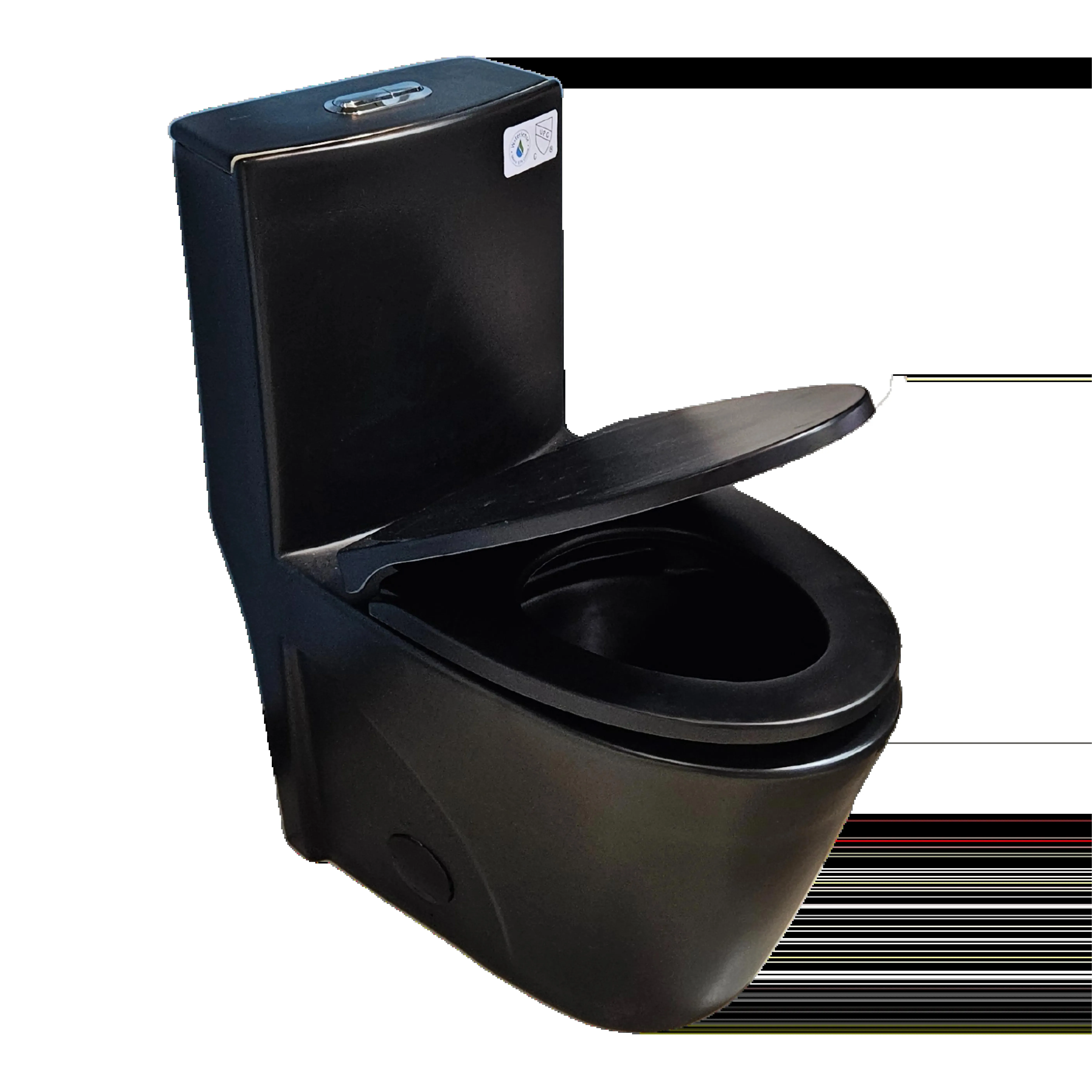 One-Piece Dual-Flush Toilet in Black