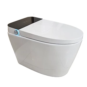  LG628 High-Tech Smart Toilet with Intelligent Functions 