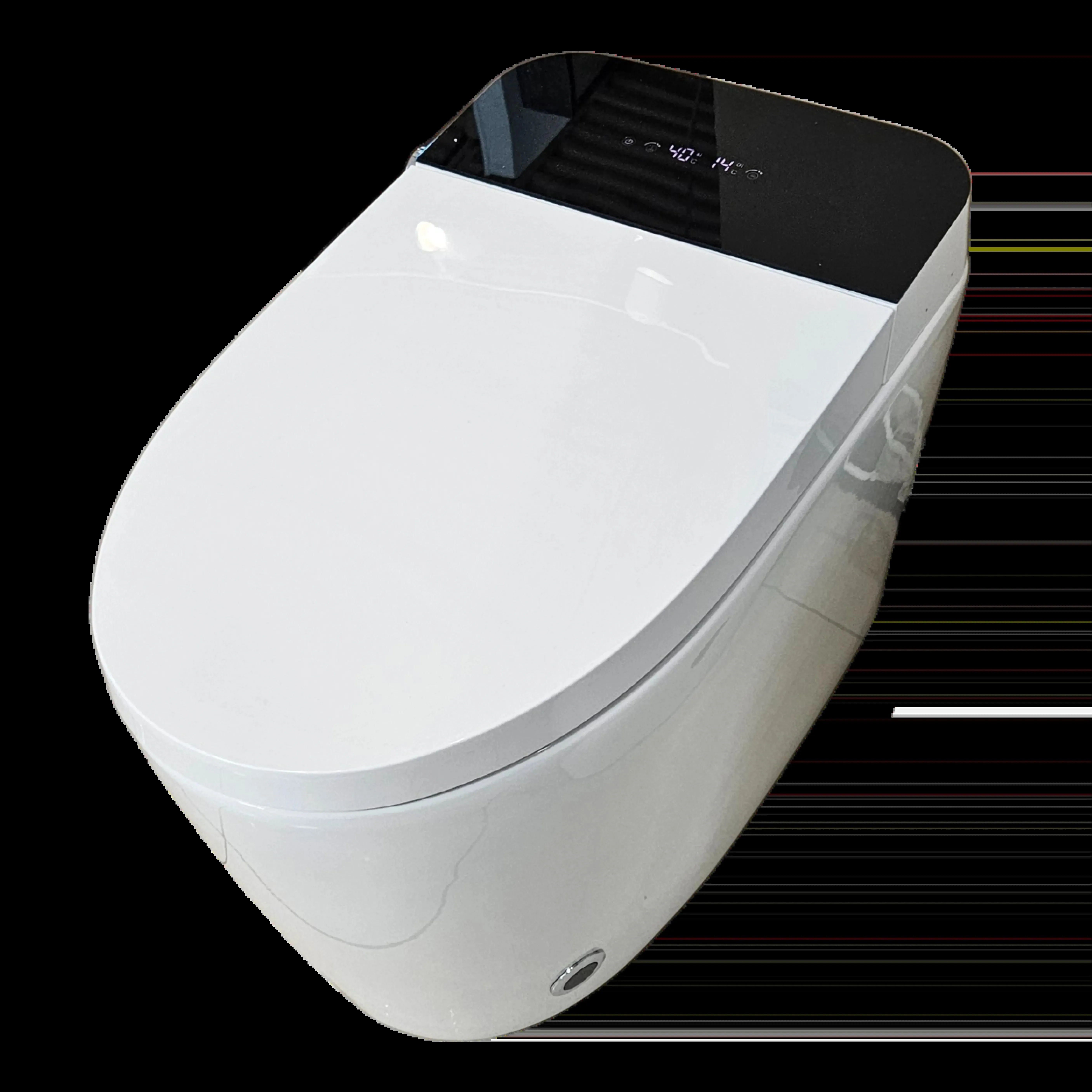 LG628 High-Tech Smart Toilet with Intelligent Functions