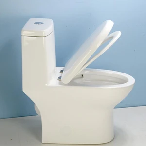 Image 3 of One-Piece Dual-Flush Fully Concealed Seamless Toilet sold at Floors & Baths Pro's