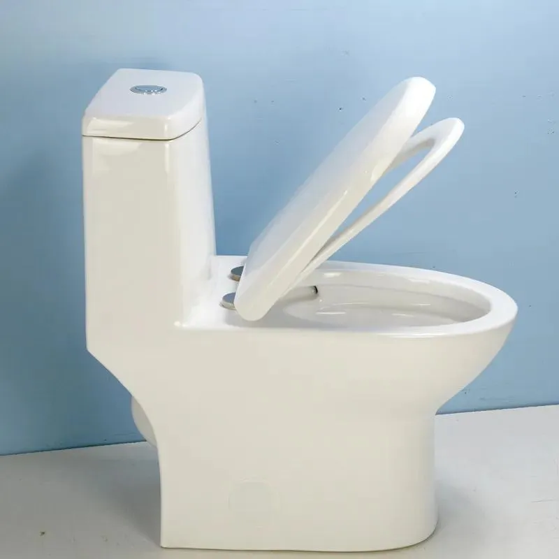 One-Piece Dual-Flush Fully Concealed Seamless Toilet