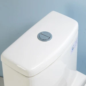 Image 4 of One-Piece Dual-Flush Fully Concealed Seamless Toilet sold at Floors & Baths Pro's