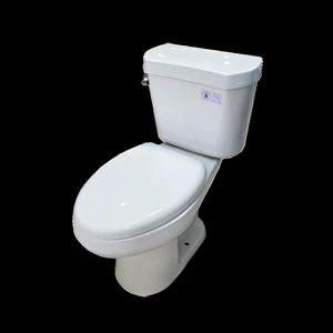  2-Piece Single-Flush Toilet 
