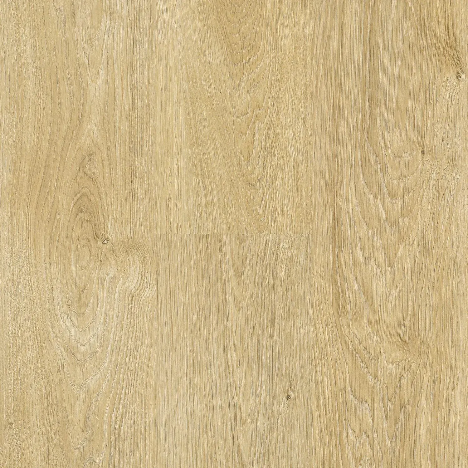 Next Floor 8mm Catamaran - Organic Oak (310 004) Laminate Flooring