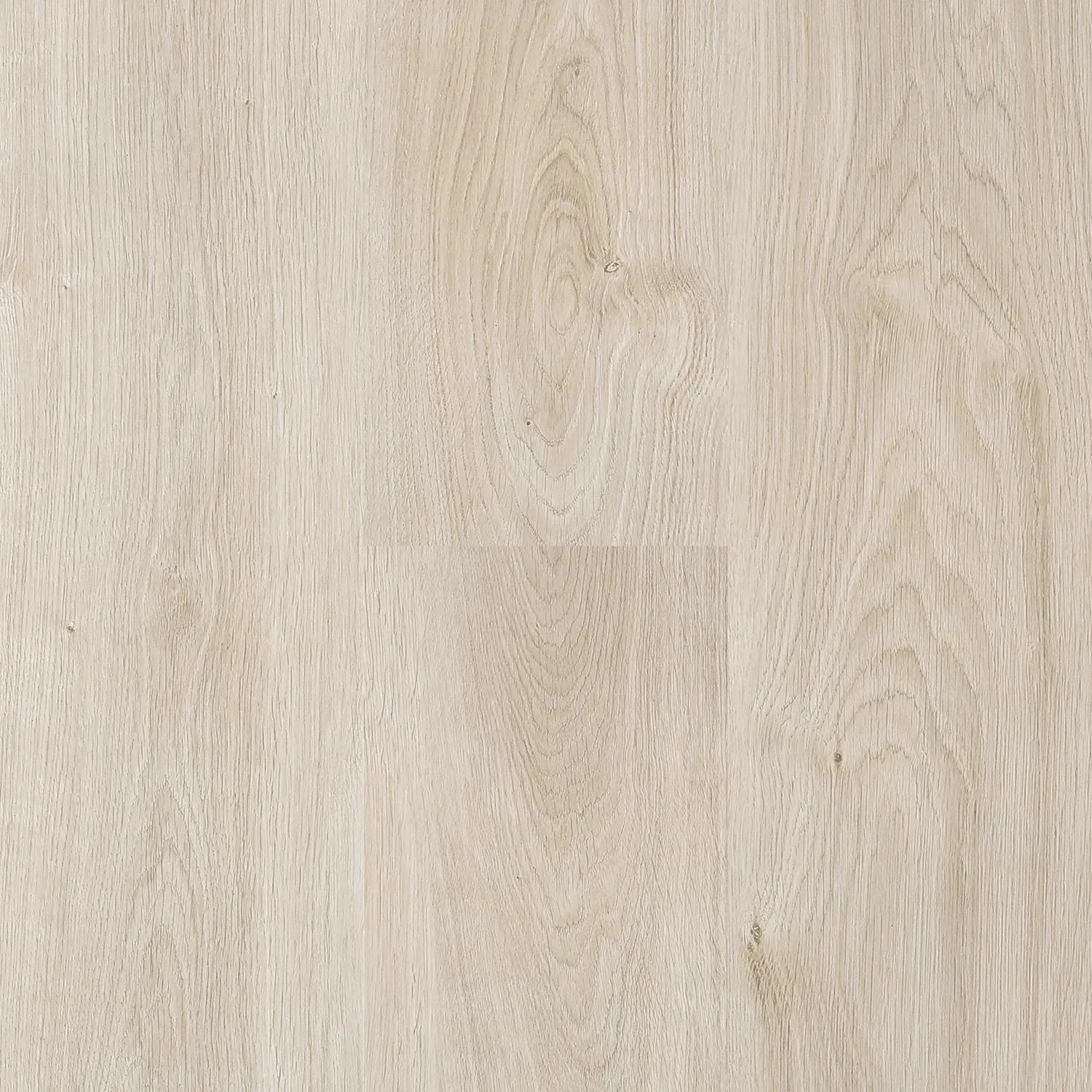 Next Floor 8mm Catamaran - Platinum Blonde (310 006) Laminate Flooring