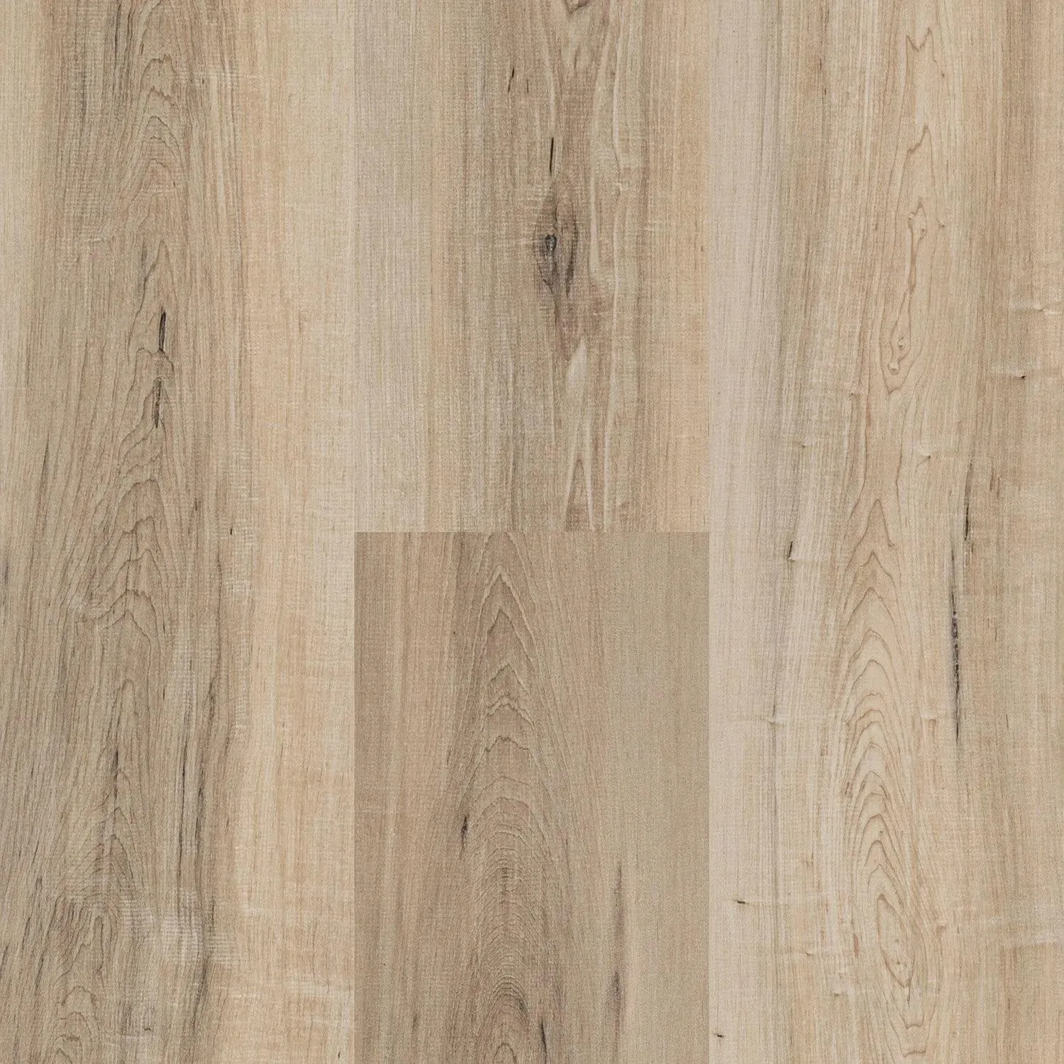 Next Floor 8mm Catamaran - Sand (310 003) Laminate Flooring