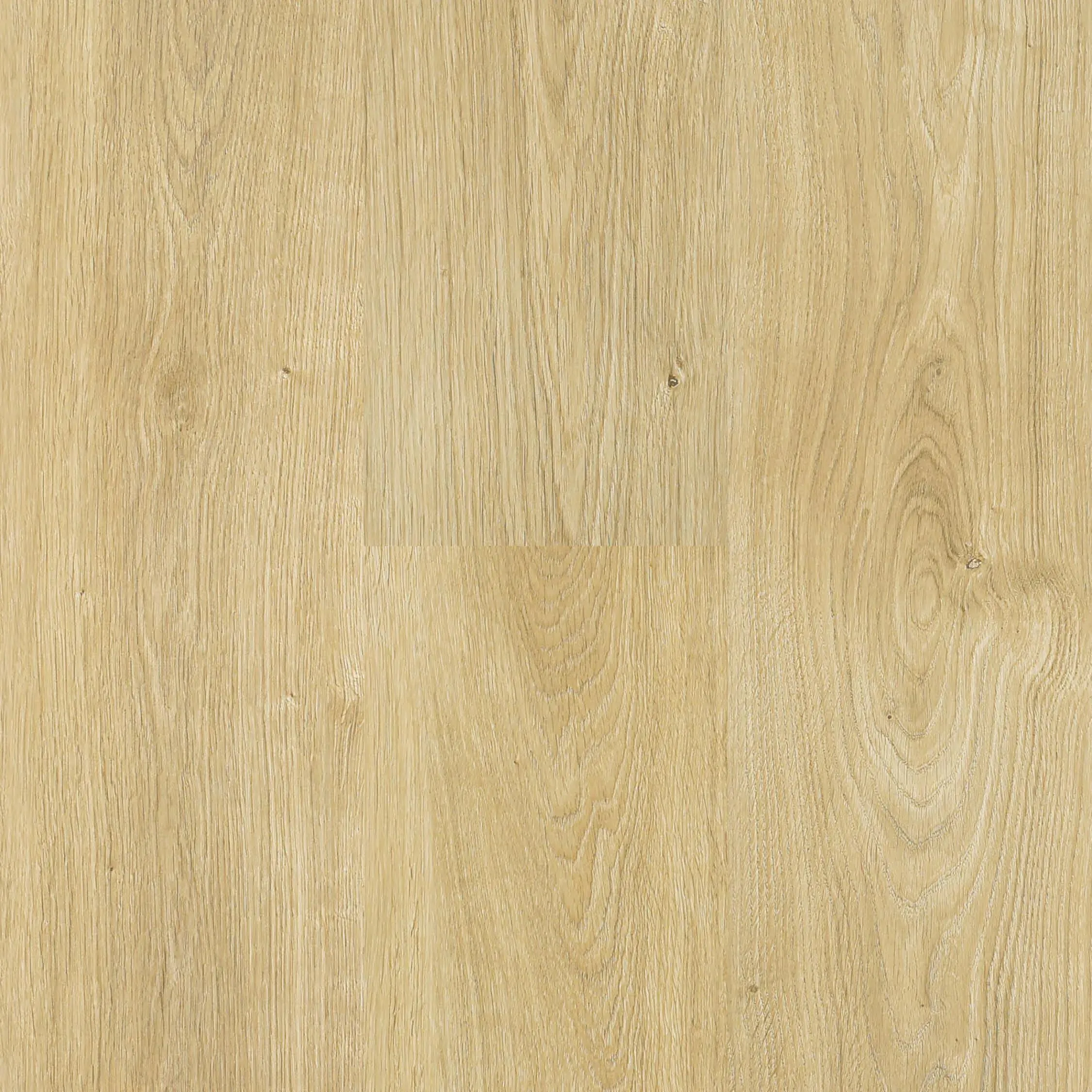 Next Floor 10mm Regatta - Organic Oak (303 004) Laminate Flooring
