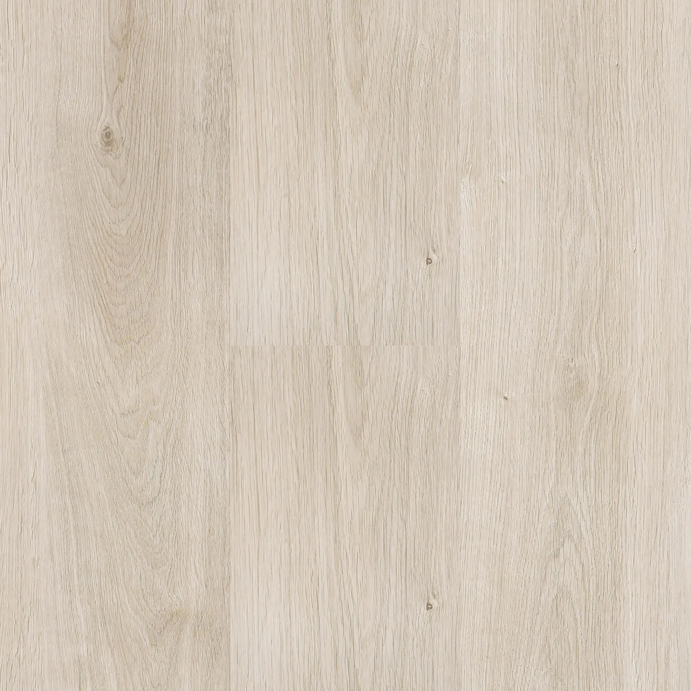Next Floor 10mm Regatta - Platinum Blonde (303 006) Laminate Flooring