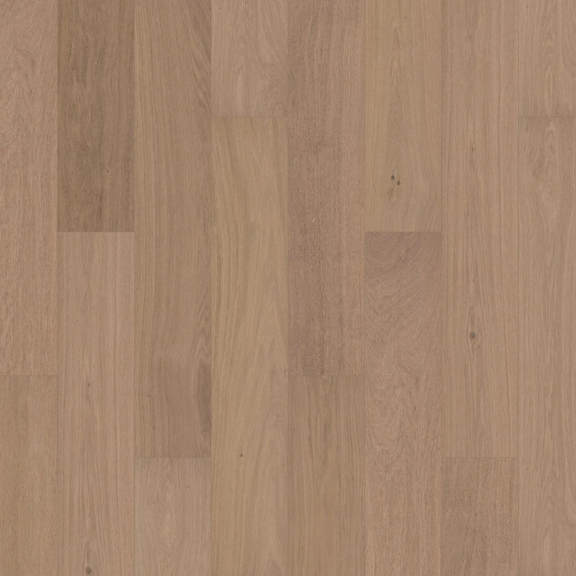Invisible Oakel City Engineered Hardwood