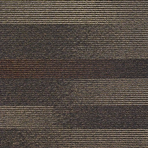  Continuum - Mojave 840-010 Next Floor Carpet Tiles 