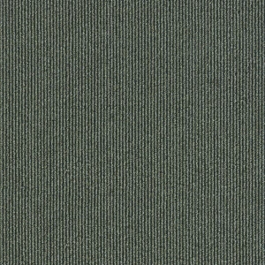  10" Next Floor Pinstripe - Sequoia 877-002 Next Floor Carpet Tiles 