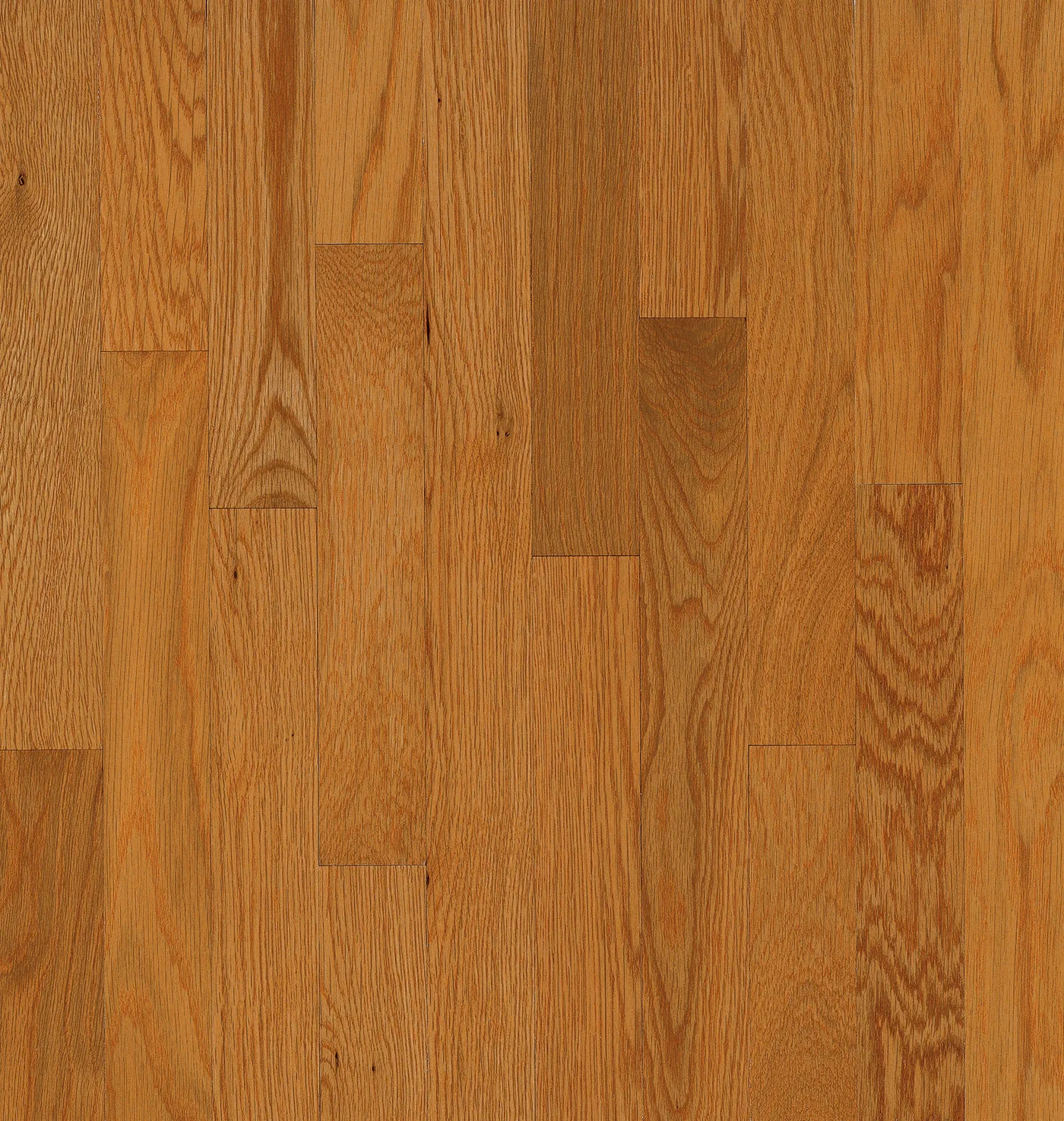 Bruce Butterscotch America's Best Choice Oak Solid Hardwood Flooring (ABC1426)