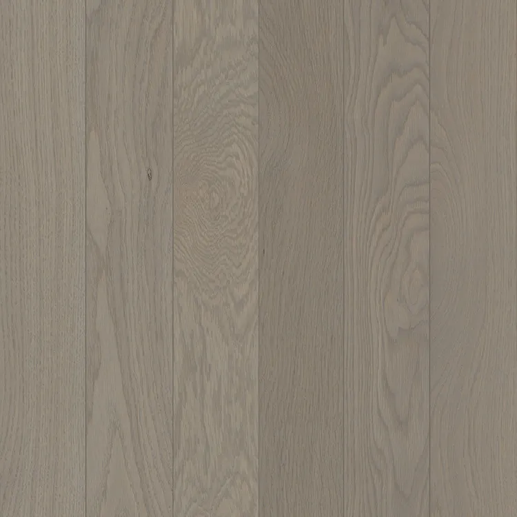 Bruce First Frost Dundee Oak Solid Hardwood Flooring (CB4265LG)