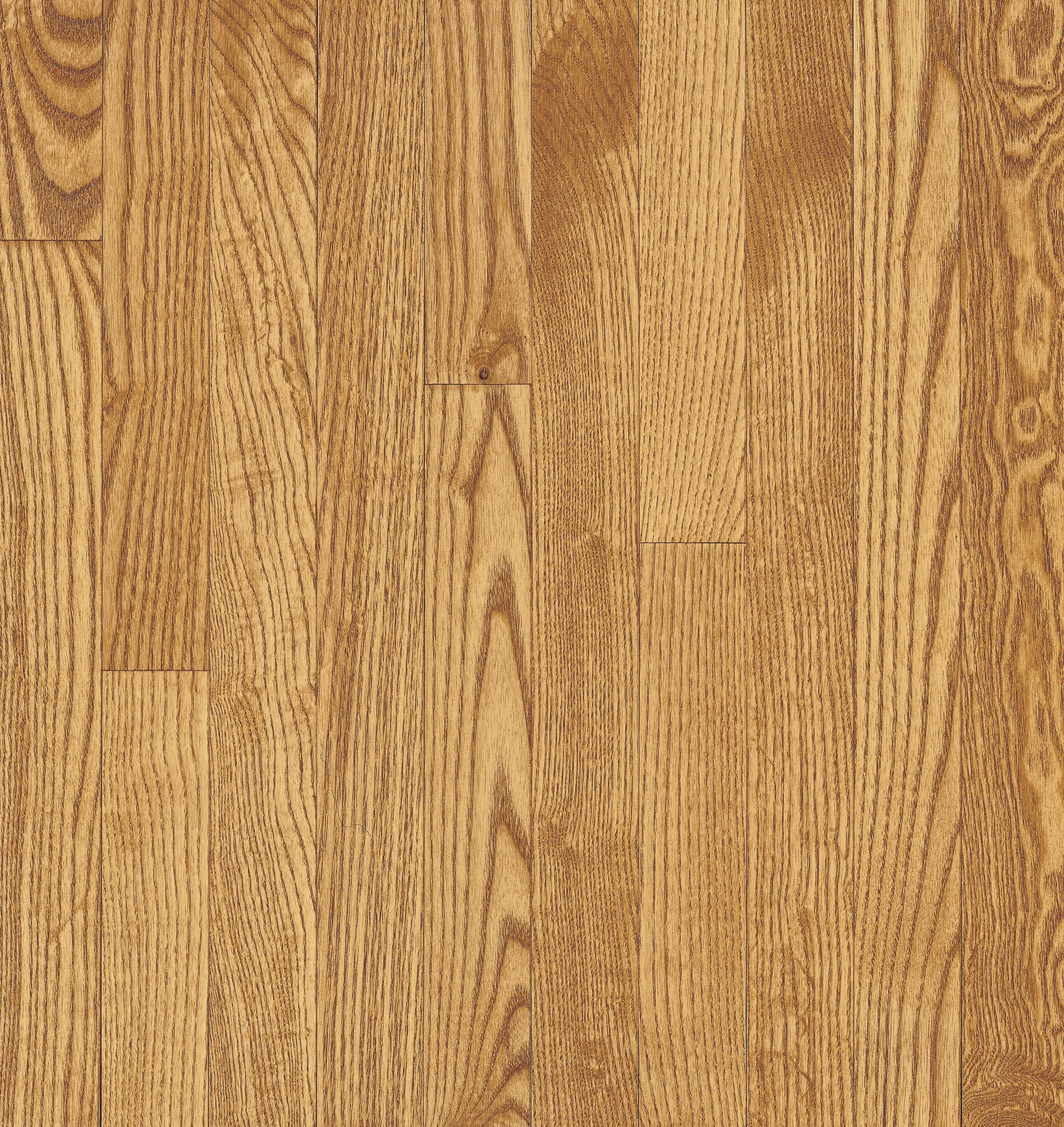 Bruce Seashell Dundee Oak Solid Hardwood Flooring (CB1230)