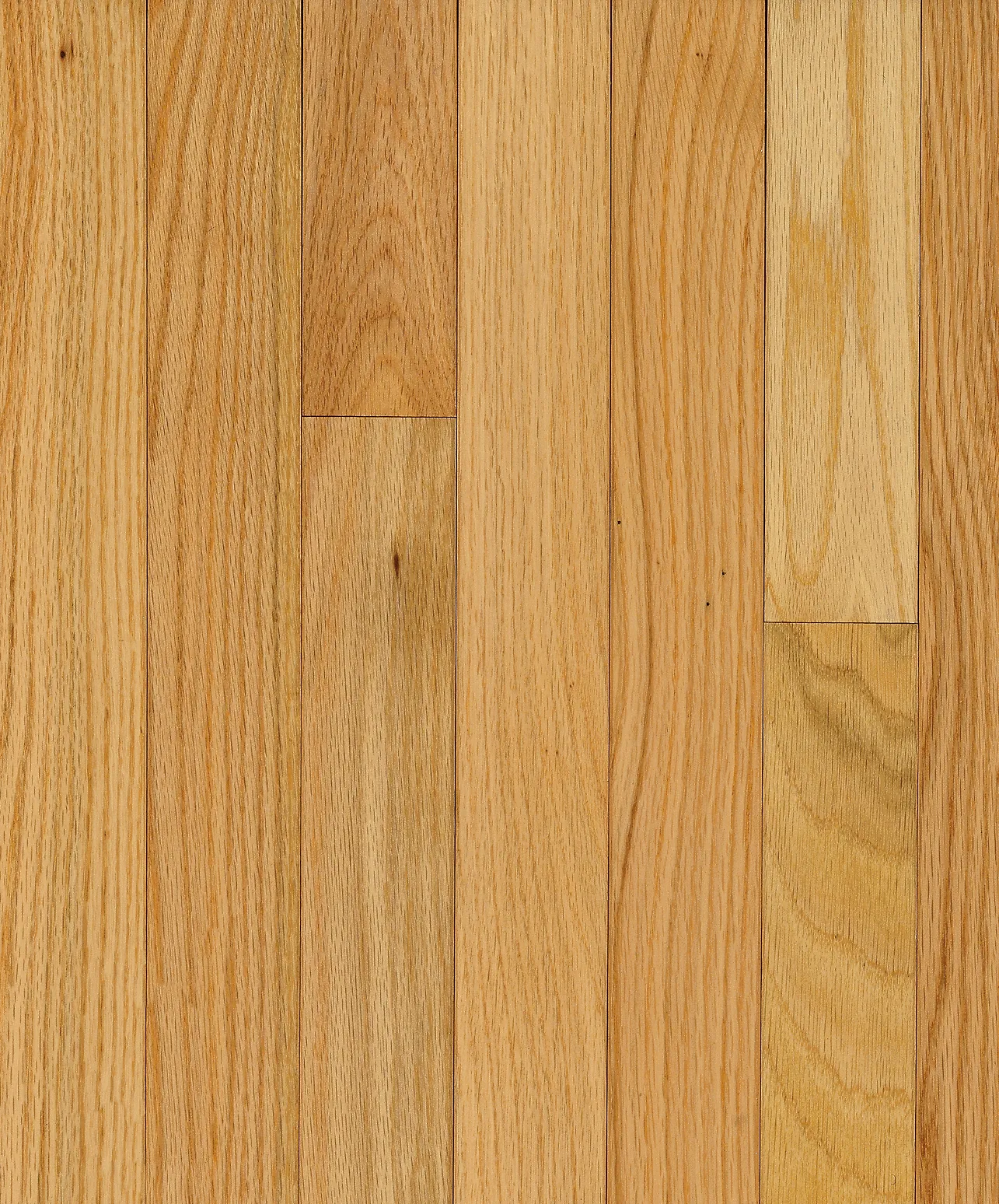 Bruce Natural Manchester Oak Solid Hardwood Flooring (C210)