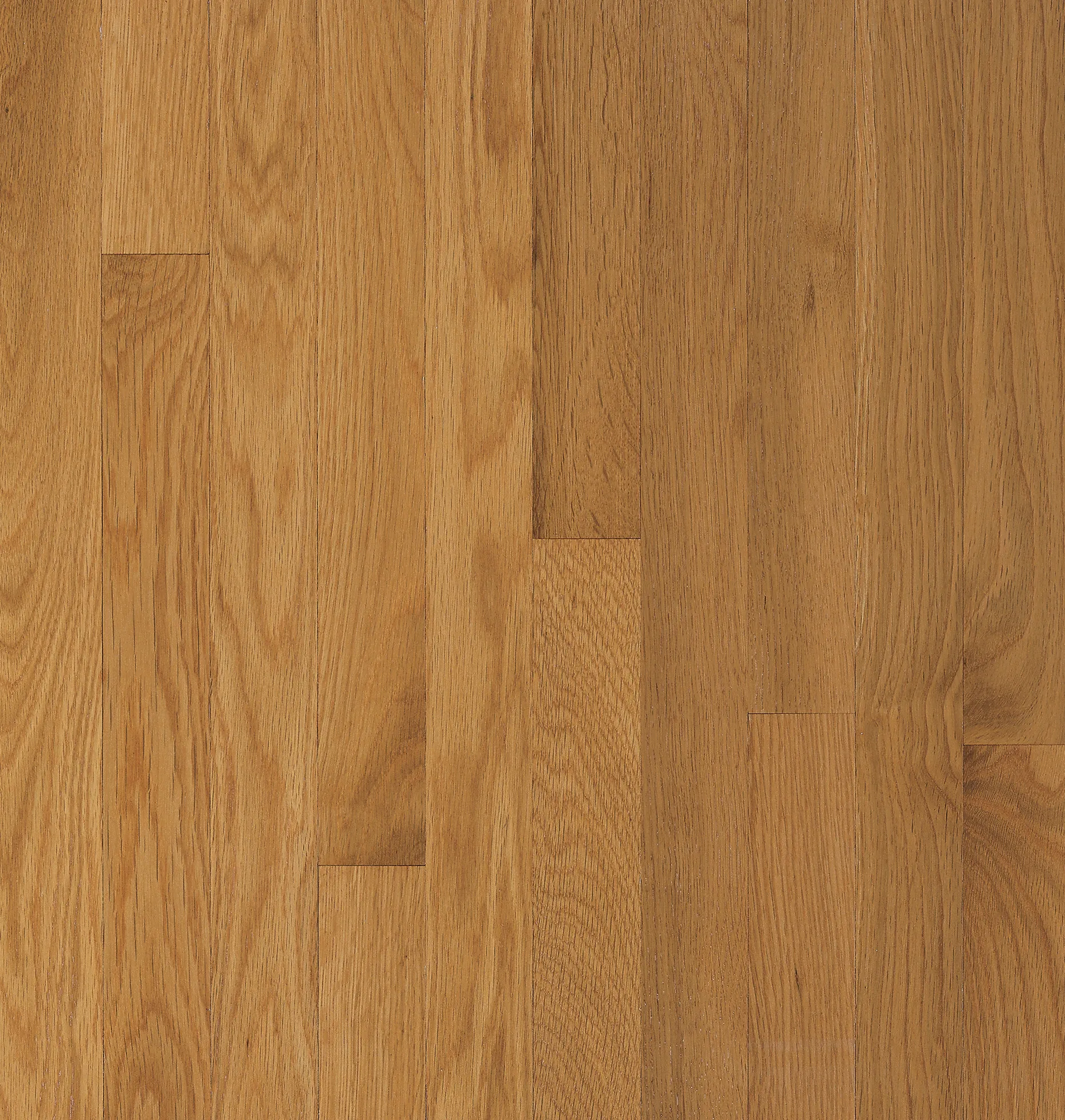Bruce Cornsilk Waltham Oak Solid Hardwood Flooring (C8239)