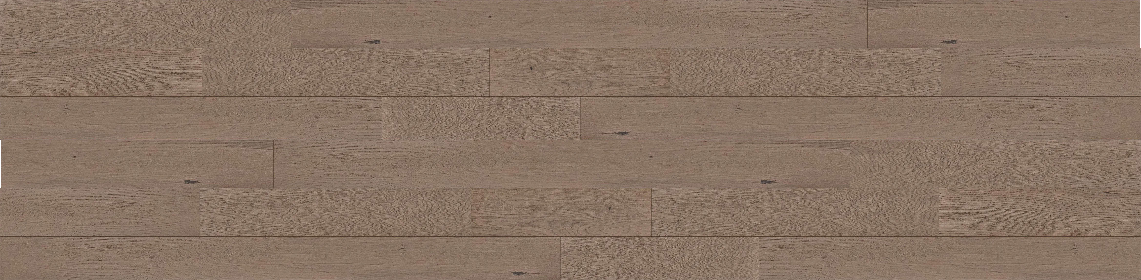 6-1/2" Irish-Tea - Elite Collection Engineered Hardwood