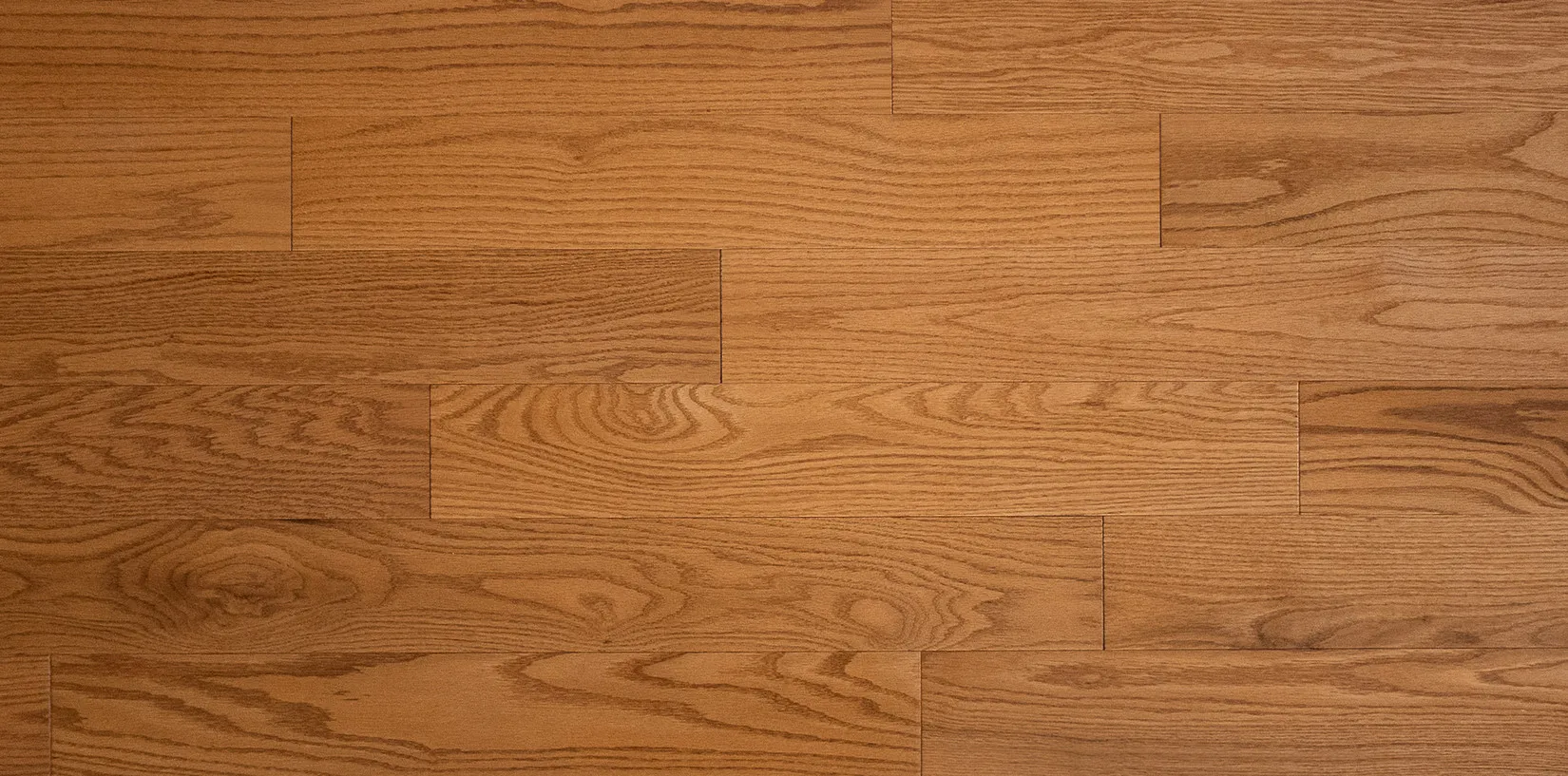Amaretto Solid Hardwood - Contemporary - Grandeur Flooring