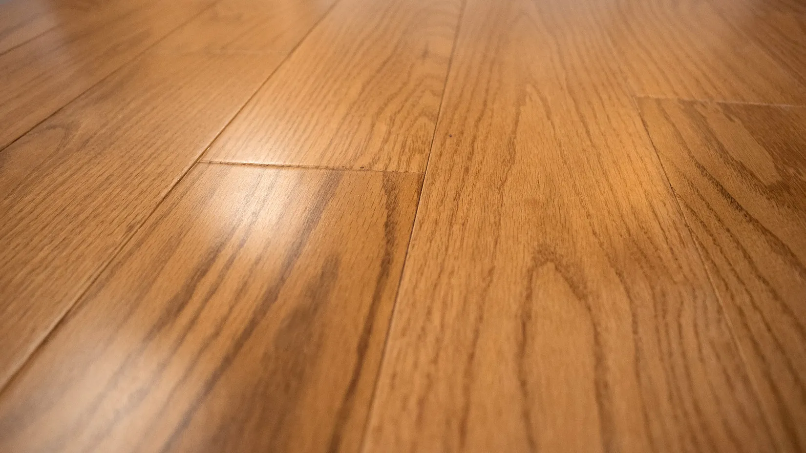 Amaretto Solid Hardwood - Contemporary - Grandeur Flooring